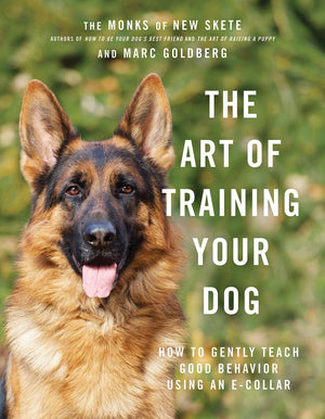 The Art of Training Your Dog: How to Gently Teach Good Behavior Using an ECollar,Used