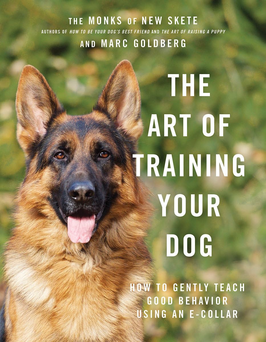 The Art of Training Your Dog: How to Gently Teach Good Behavior Using an ECollar,Used