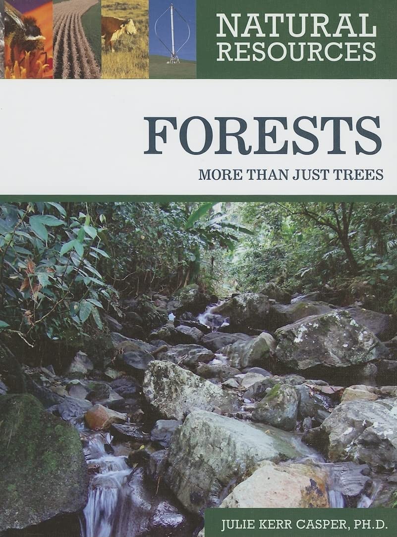 Forests: More Than Just Trees (Natural Resources),New