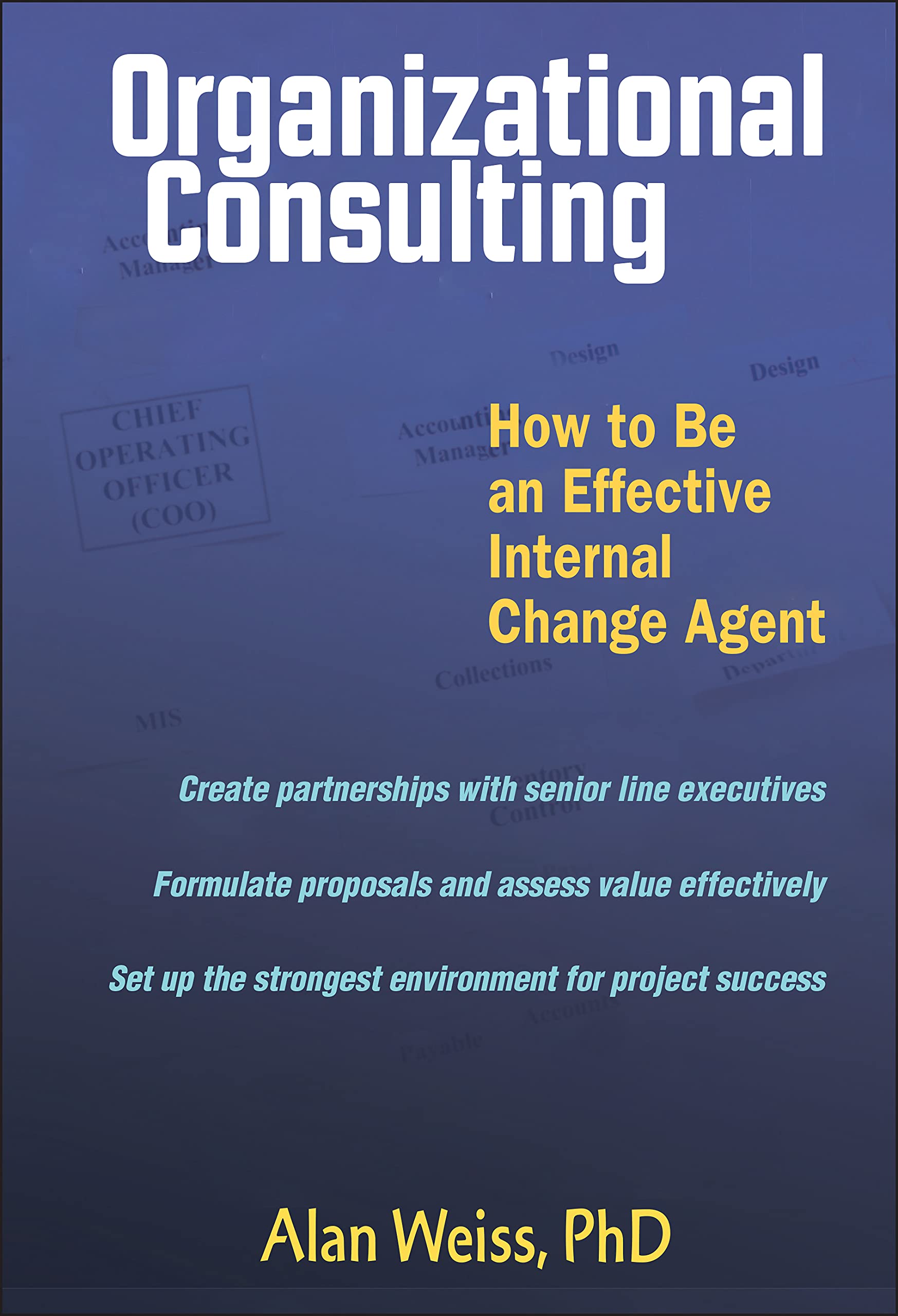 Organizational Consulting: How to Be an Effective Internal Change Agent,Used