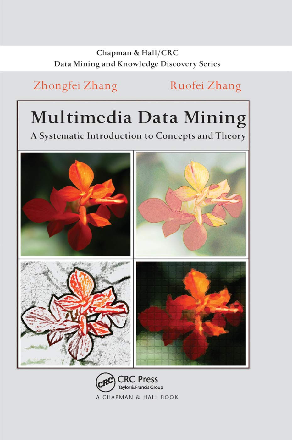 Multimedia Data Mining: A Systematic Introduction to Concepts and Theory (Chapman & Hall/CRC Data Mining and Knowledge Discovery,Used