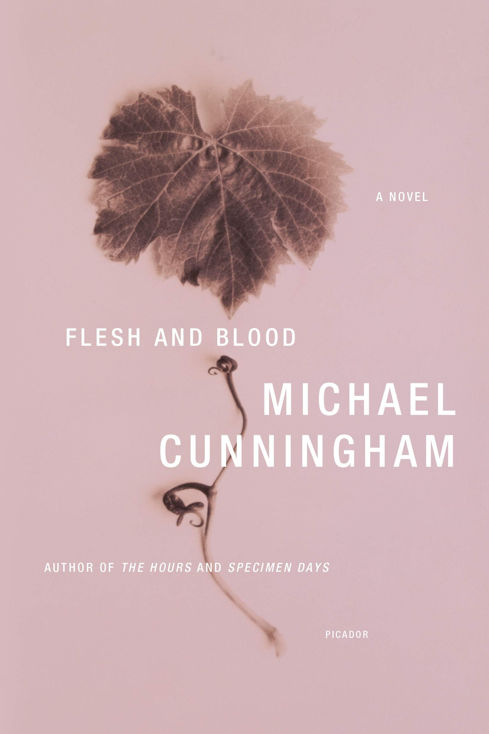 Flesh And Blood: A Novel,Used