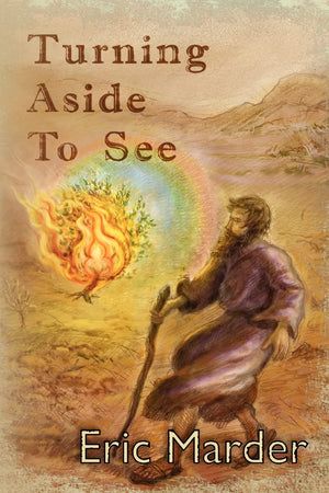 Turning Aside To See,Used