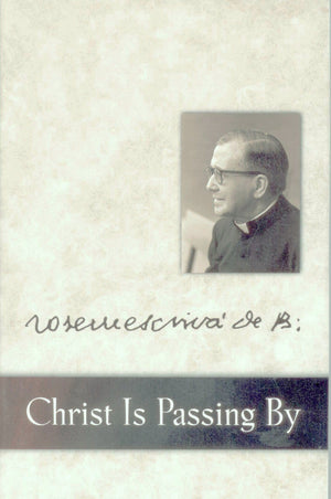 Christ Is Passing by: Homilies,Used