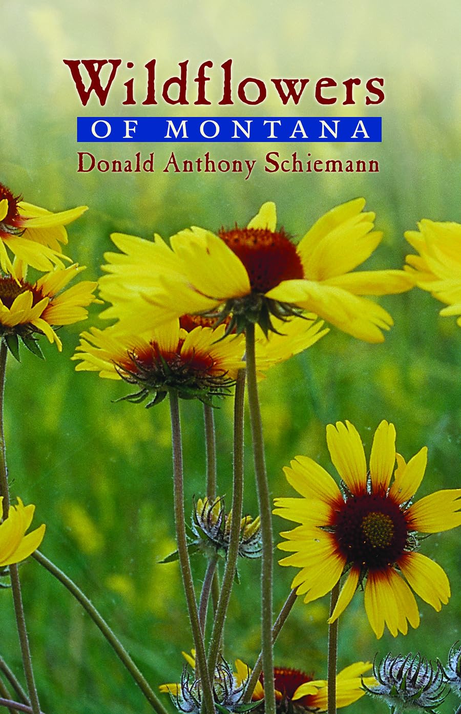 Wildflowers of Montana,Used