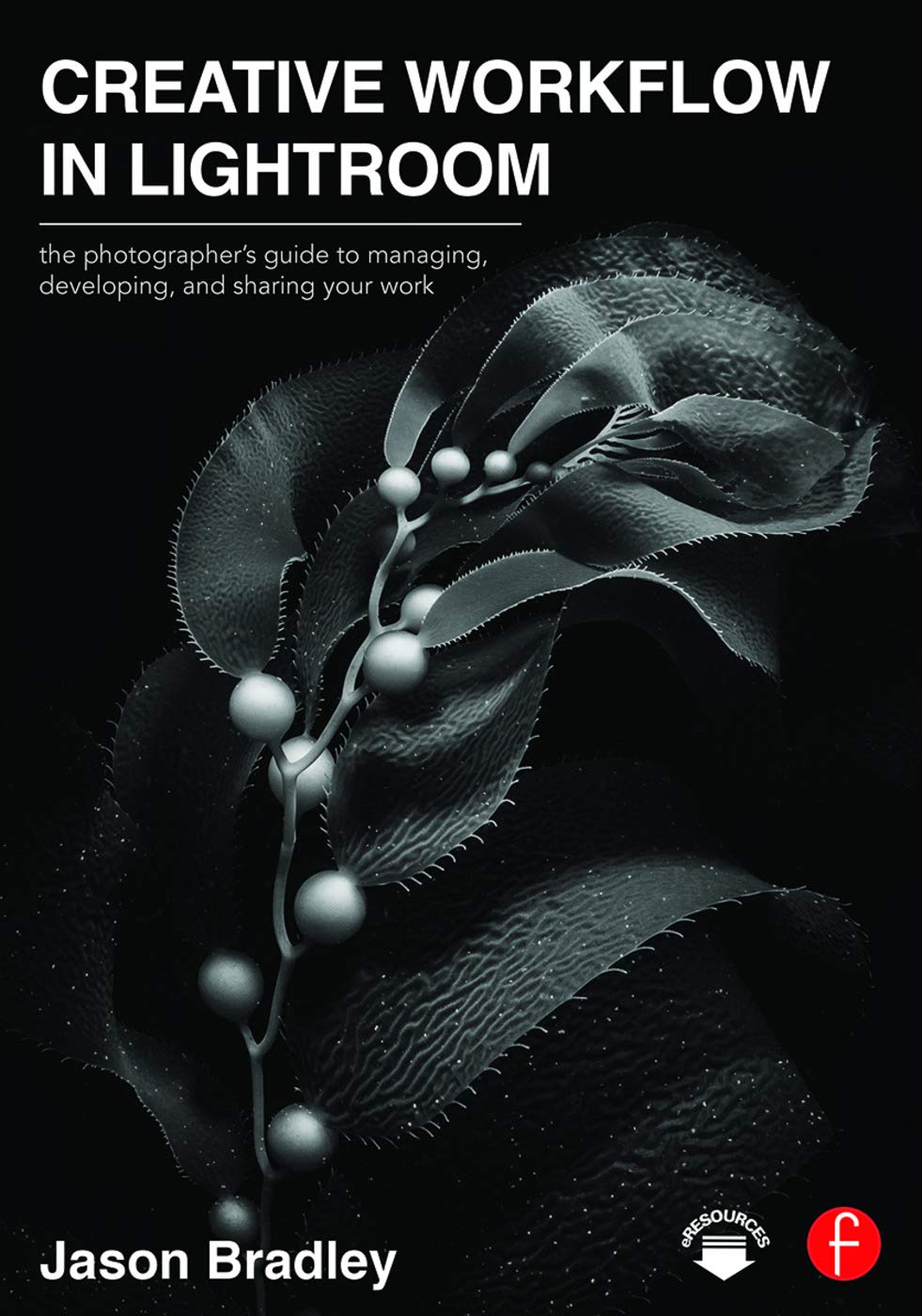 Creative Workflow in Lightroom: The photographers guide to managing, developing, and sharing your work,Used