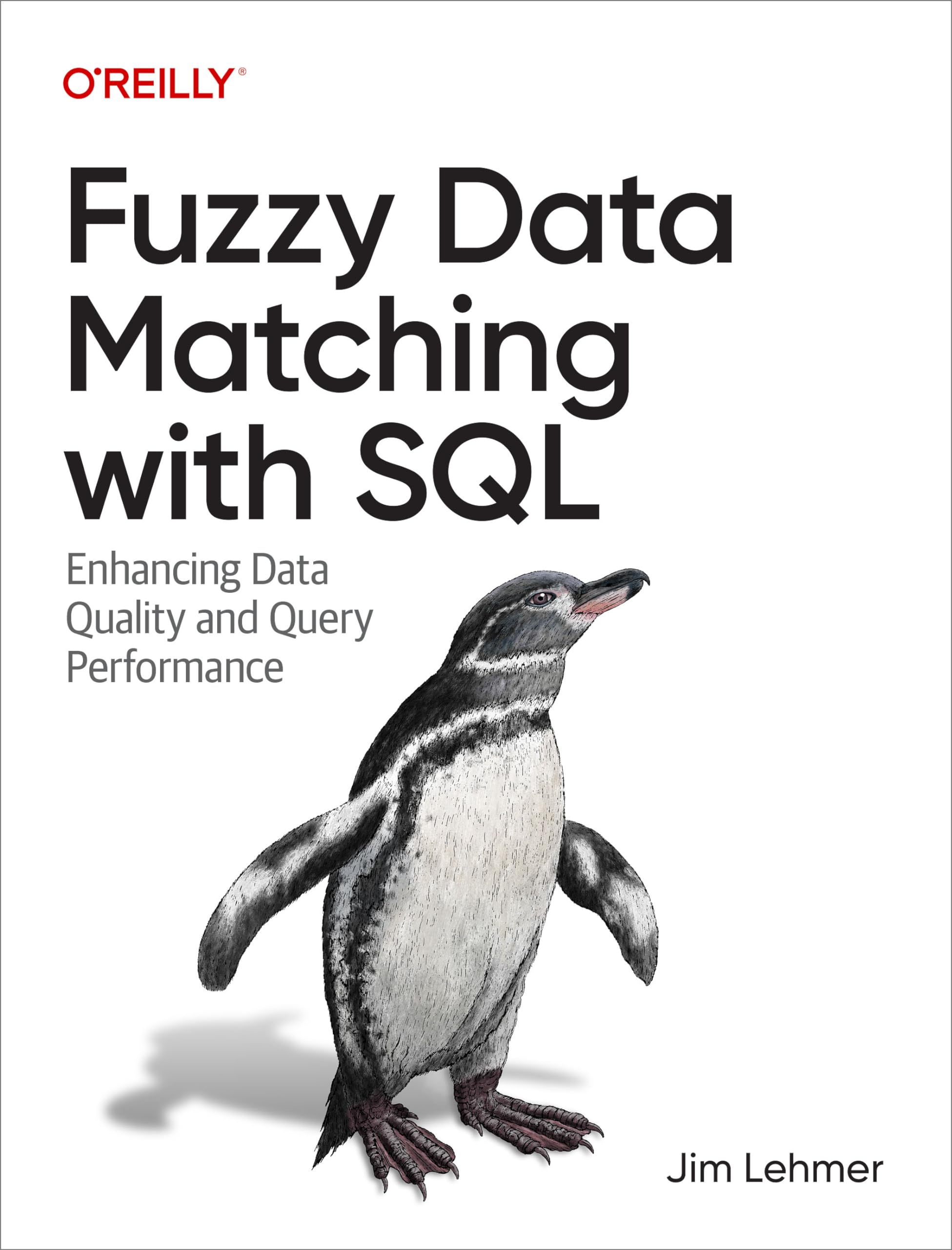 Fuzzy Data Matching With Sql: Enhancing Data Quality And Query Performance,Used