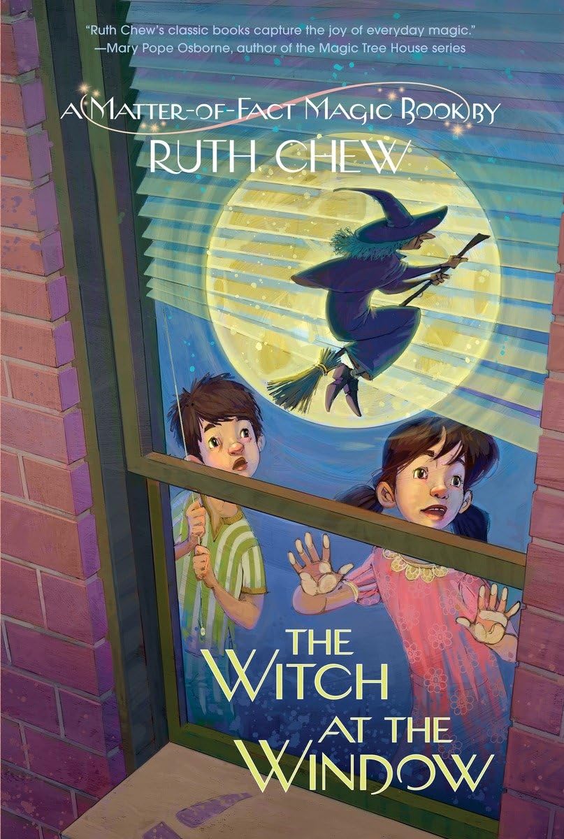 A MatterofFact Magic Book: The Witch at the Window,Used