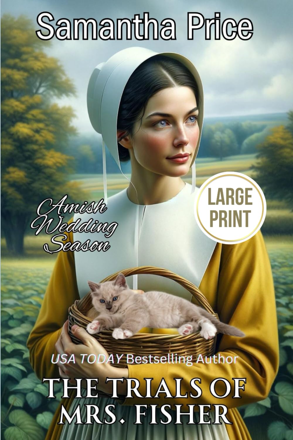 The Trials of Mrs. Fisher LARGE PRINT,Used
