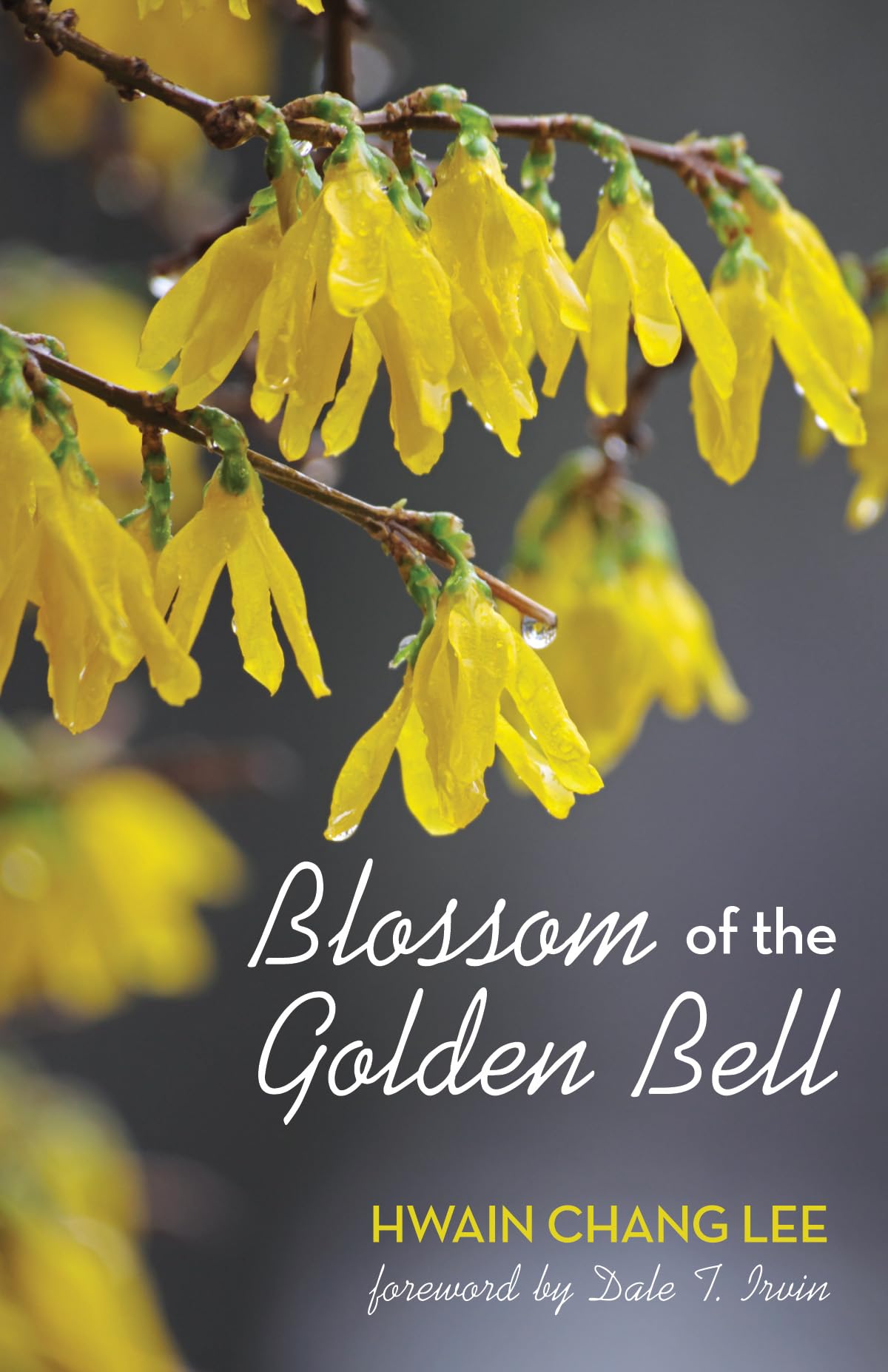 Blossom of the Golden Bell,Used