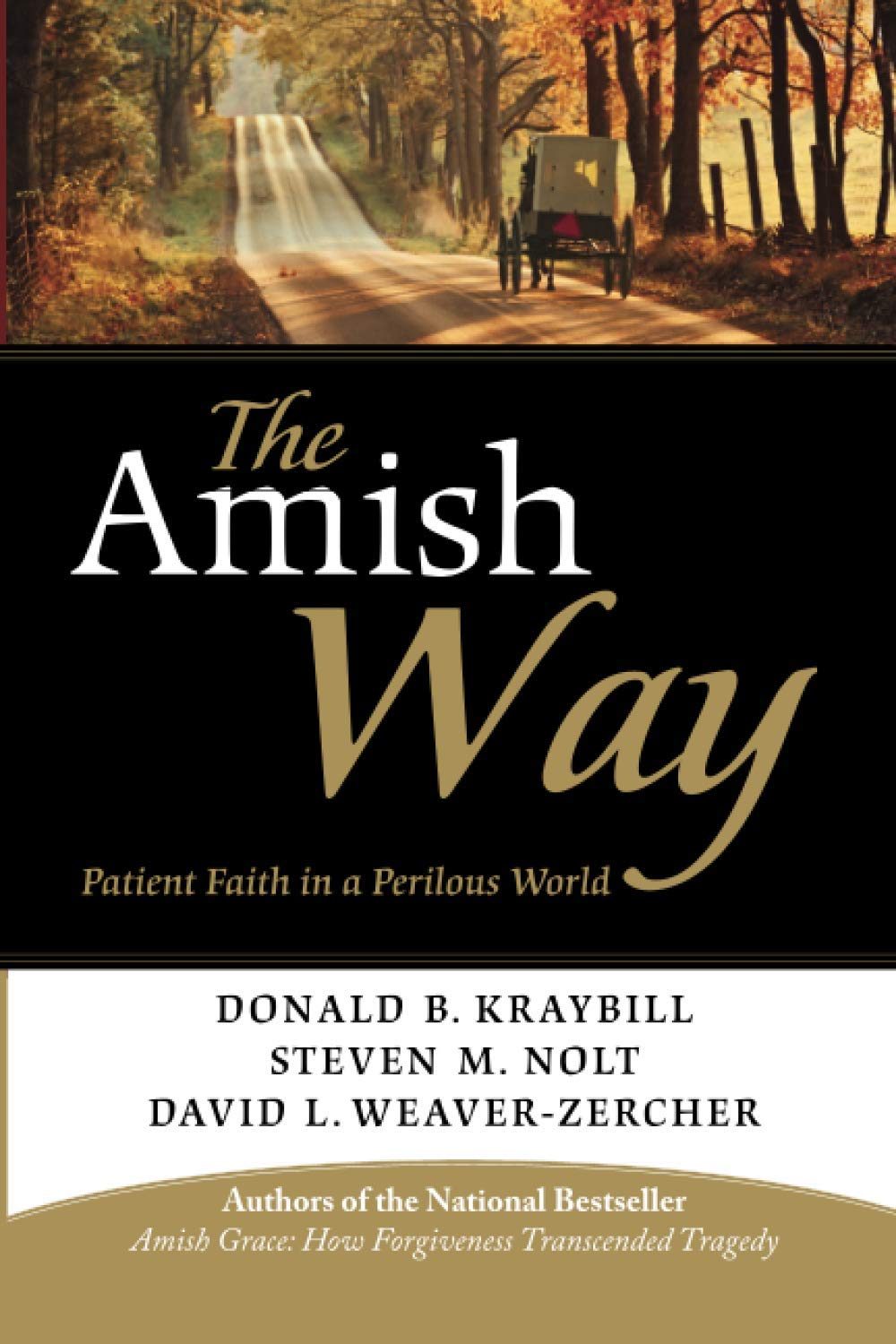 The Amish Way: Patient Faith in a Perilous World,Used