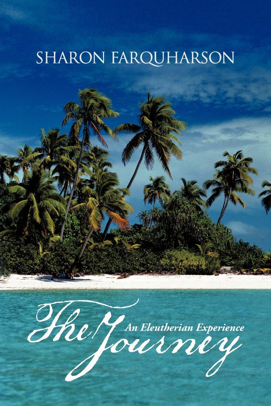 The Journey: An Eleutherian Experience,Used