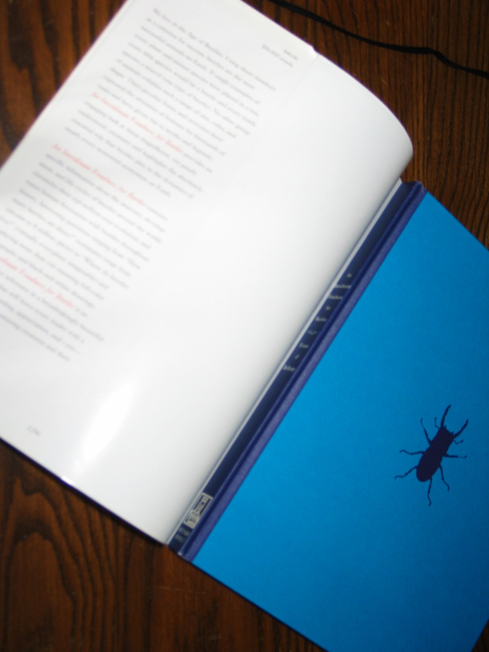 An Inordinate Fondness For Beetles (Henry Holt Reference Book),New