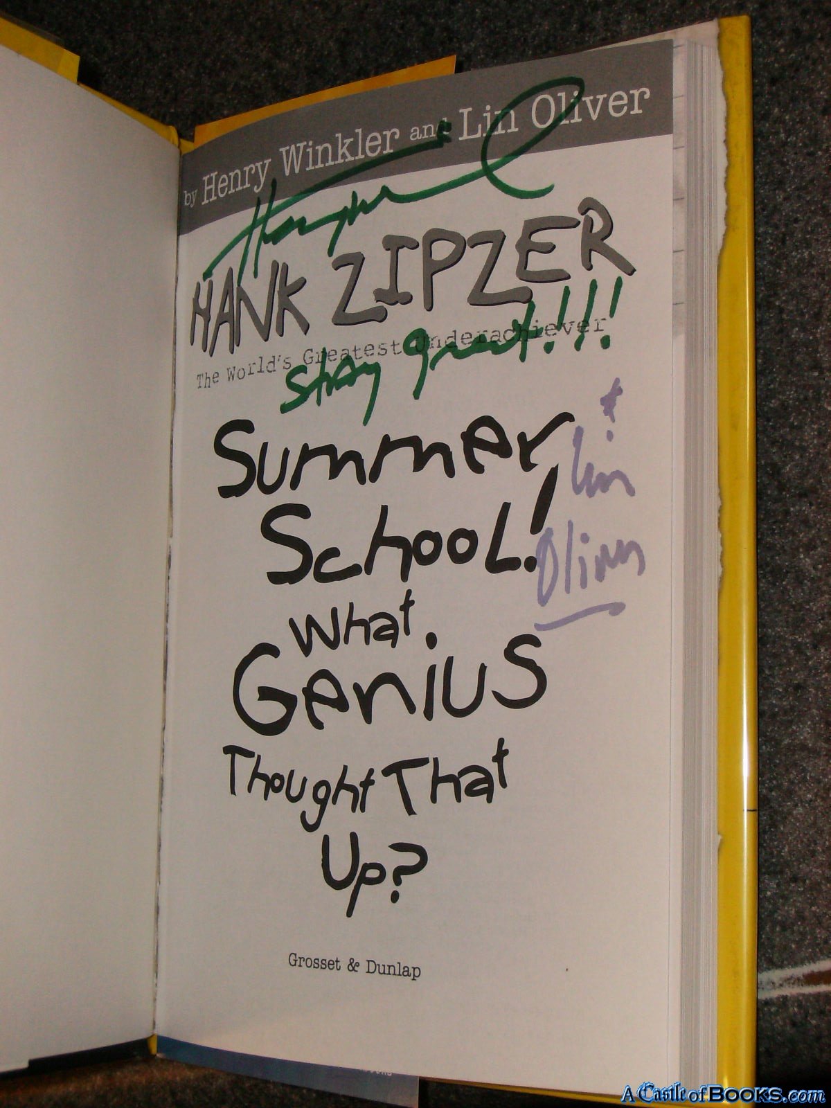 Hank Zipzer 08: Summer School! What Genius Thought That Up?