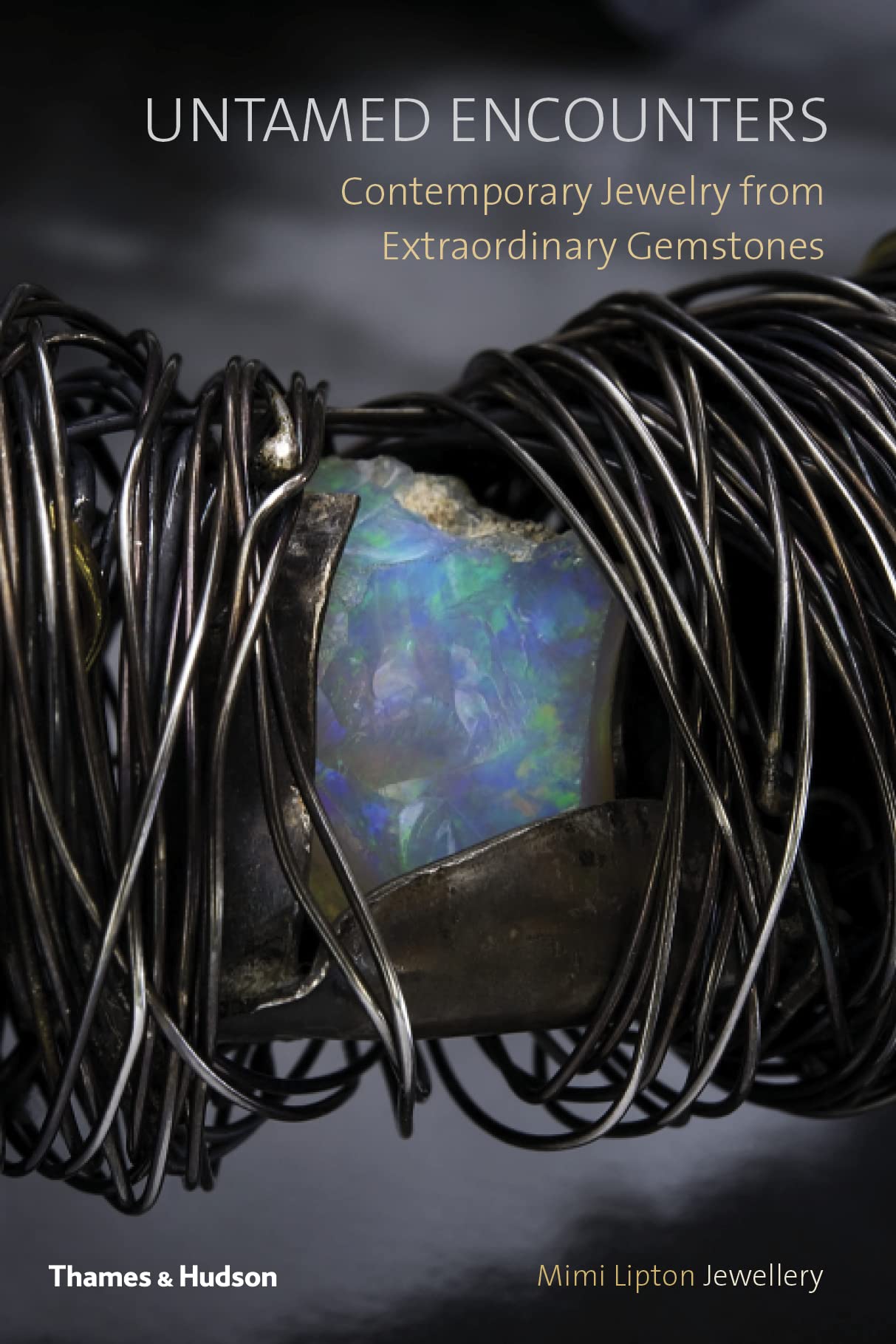 Untamed Encounters: Contemporary Jewelry From Extraordinary Gemstones,New
