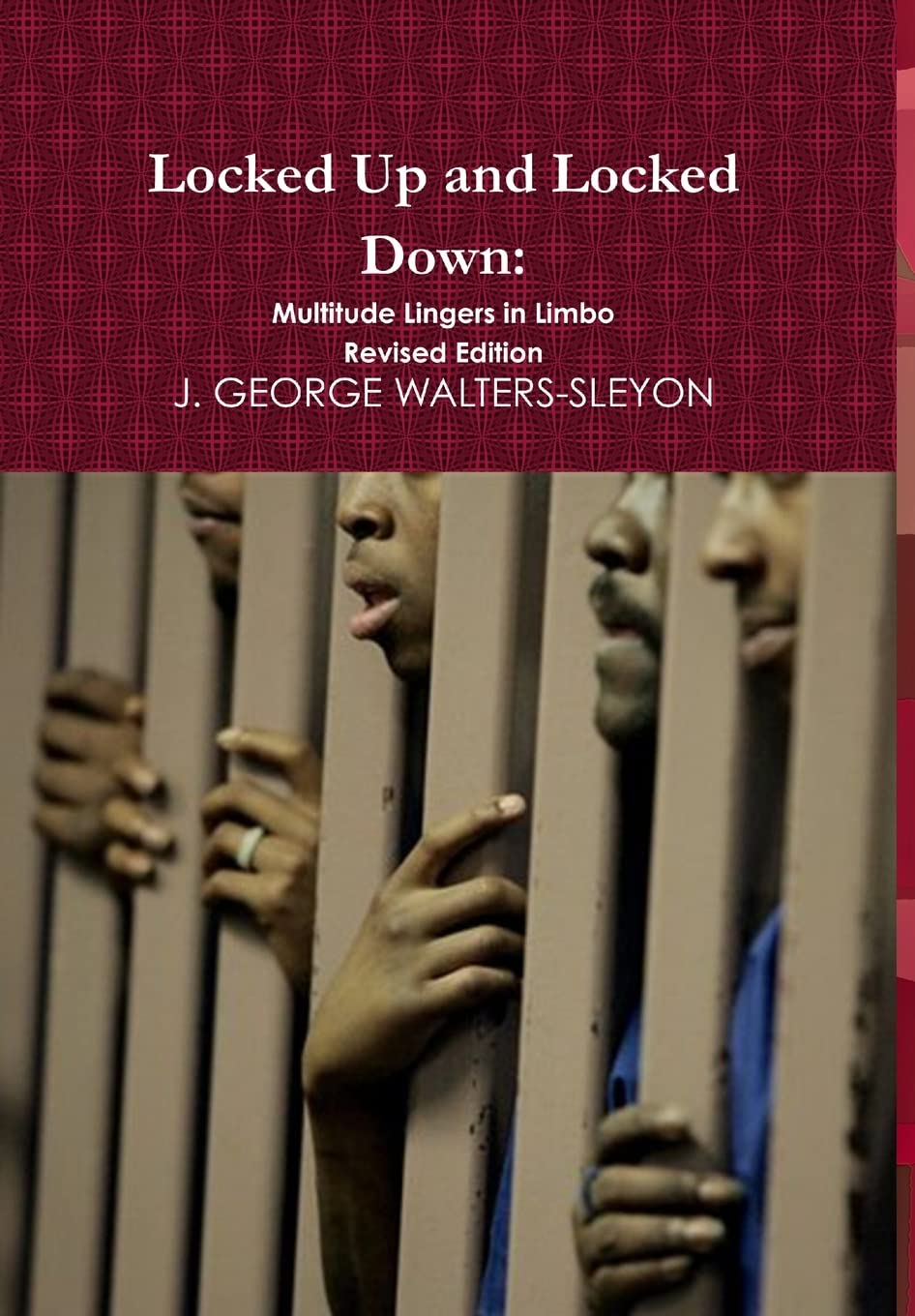 Locked Up and Locked Down: Multitude Lingers in Limbo Revised Edition,Used
