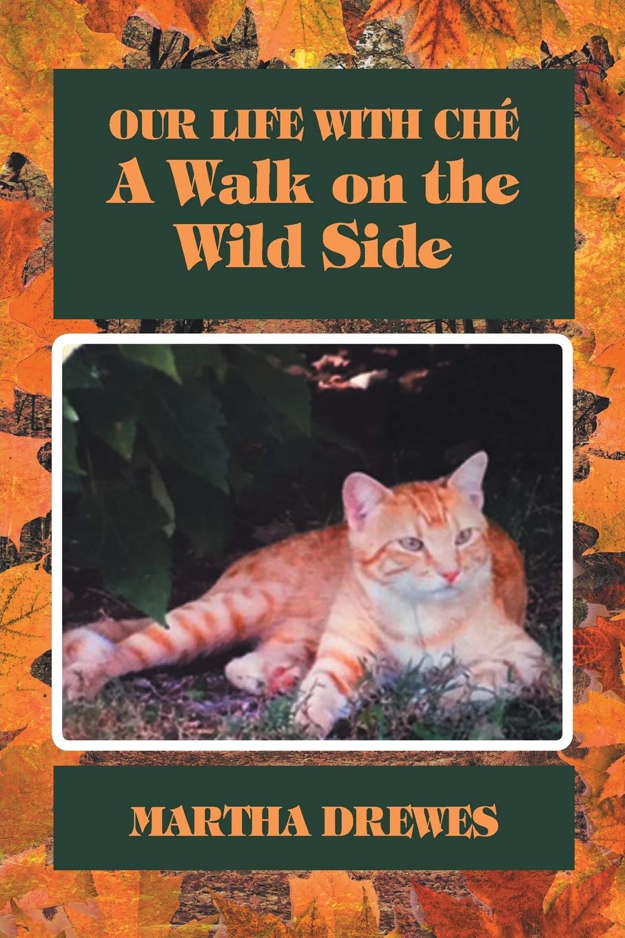Our Life With Ch: A Walk on the Wild Side,Used