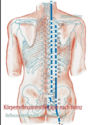 Krperreflexzonentherapie nach Heinz: Reflexzonentherapie von Kopf bis Fu (German Edition),Used