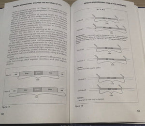Genetic Engineering: Shaping the Material of Life (Facts on File Science Sourcebooks),Used