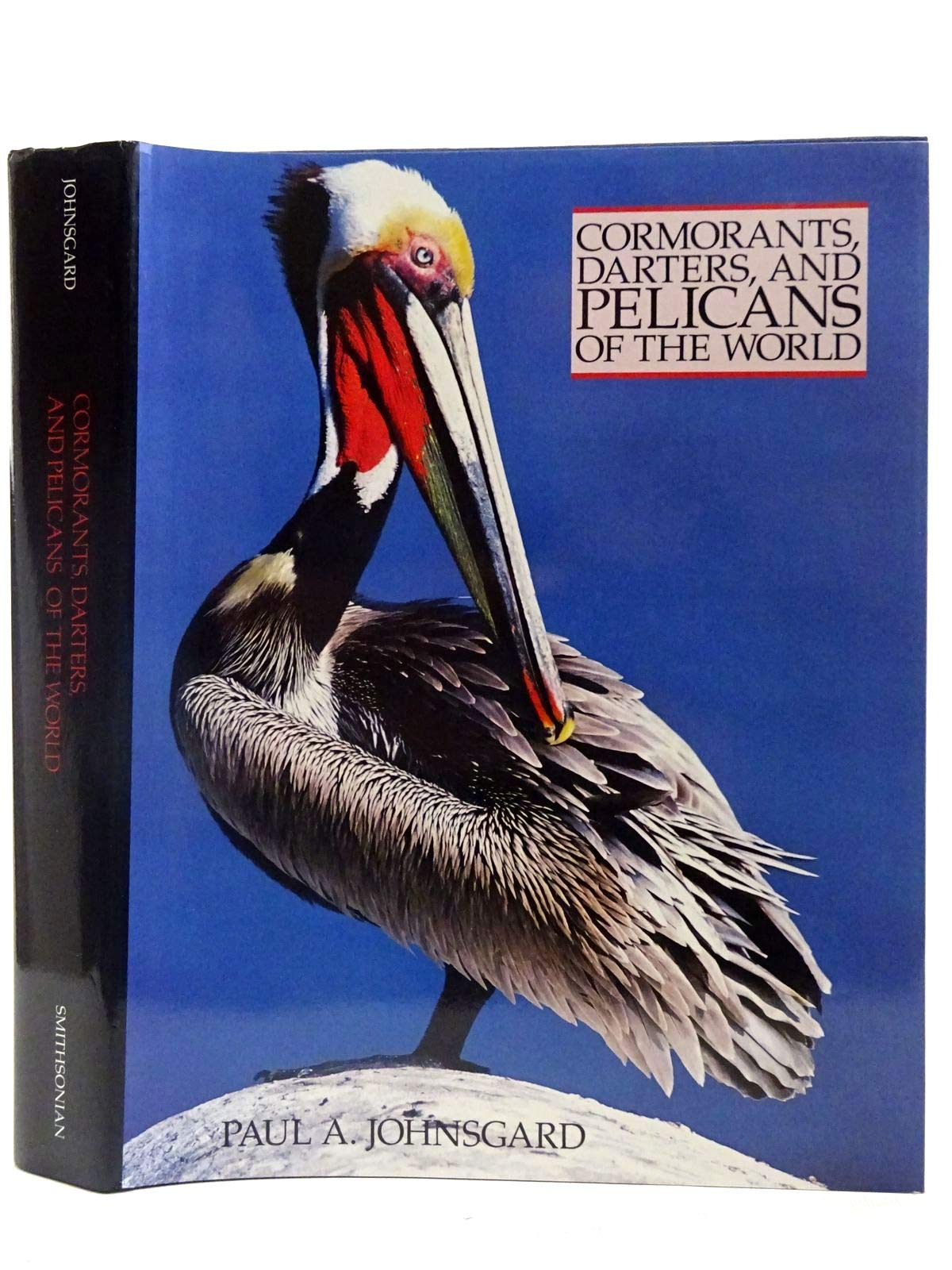 Cormorants, Darters, And Pelicans Of The World