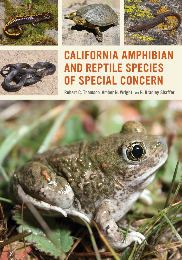 California Amphibian and Reptile Species of Special Concern,Used
