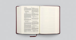 ESV Journaling Bible, Interleaved Edition (TruTone, Mahogany, Mosaic Cross Design)
