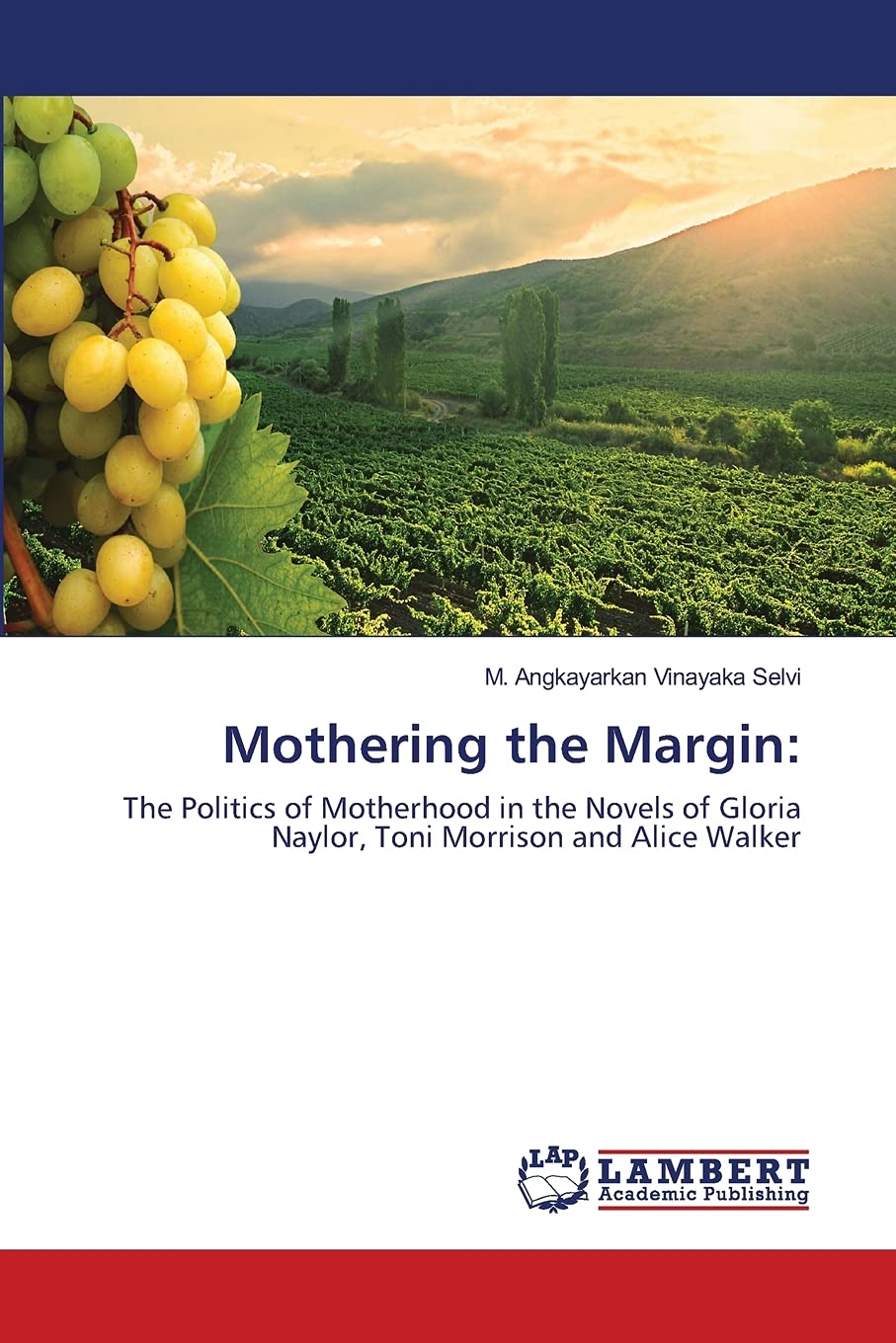 Mothering the Margin:: The Politics of Motherhood in the Novels of Gloria Naylor, Toni Morrison and Alice Walker,Used