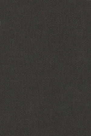 Dante's Interpretive Journey (Volume 1996) (Religion and Postmodernism),Used