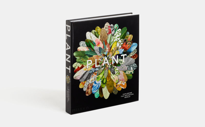 Plant: Exploring The Botanical World,Used