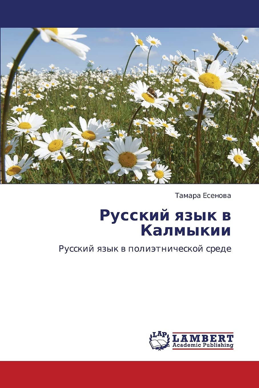 Russkiy yazyk v Kalmykii: Russkiy yazyk v polietnicheskoy srede (Russian Edition),Used