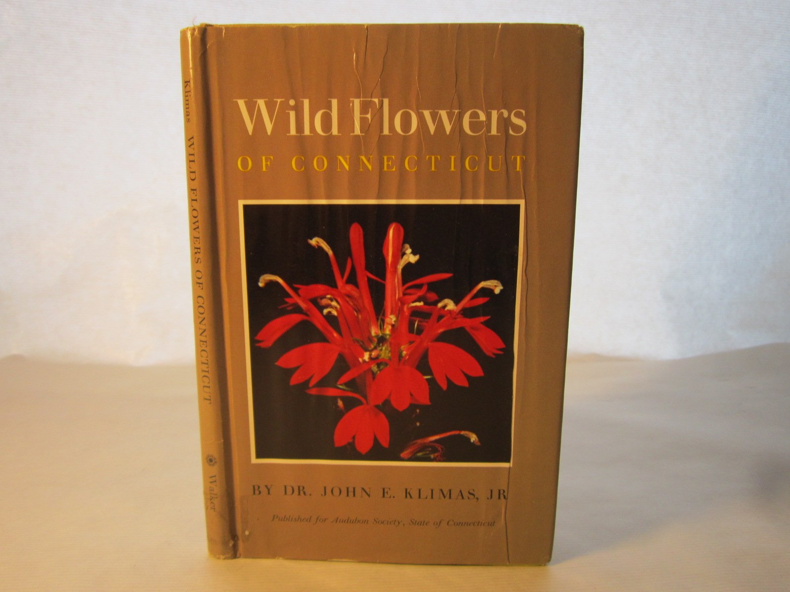 Wild flowers of Connecticut,Used