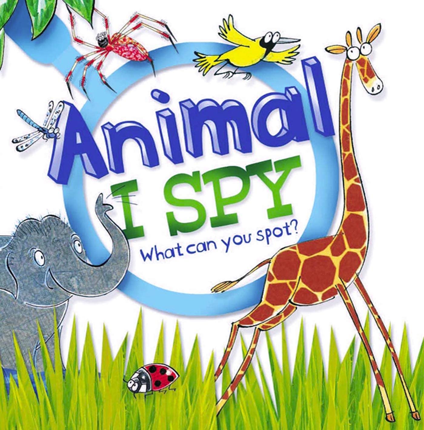 Animal I Spy,Used