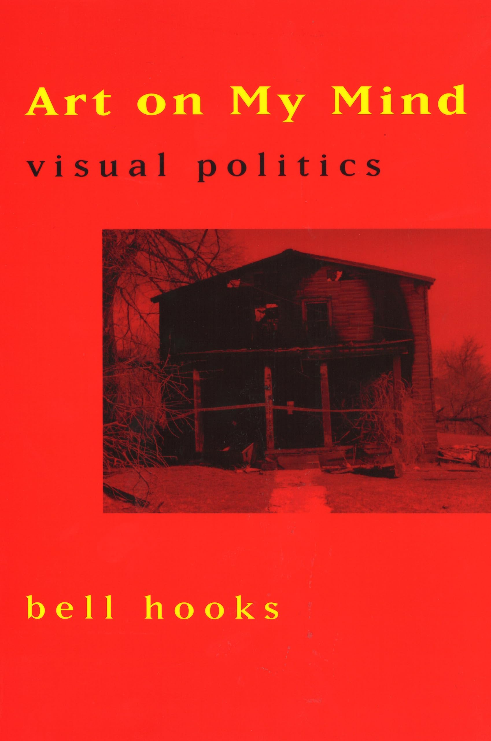 Art on My Mind: Visual Politics,New