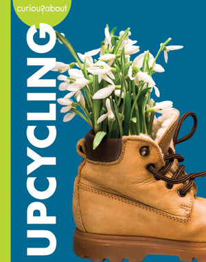 Curious About Upcycling