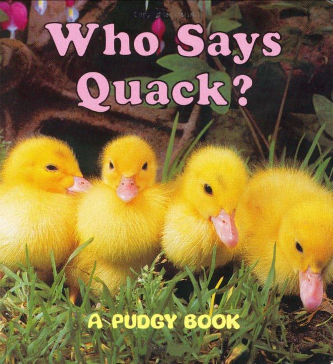 Who Says Quack?: A Pudgy Board Book (Pudgy Board Books),Used