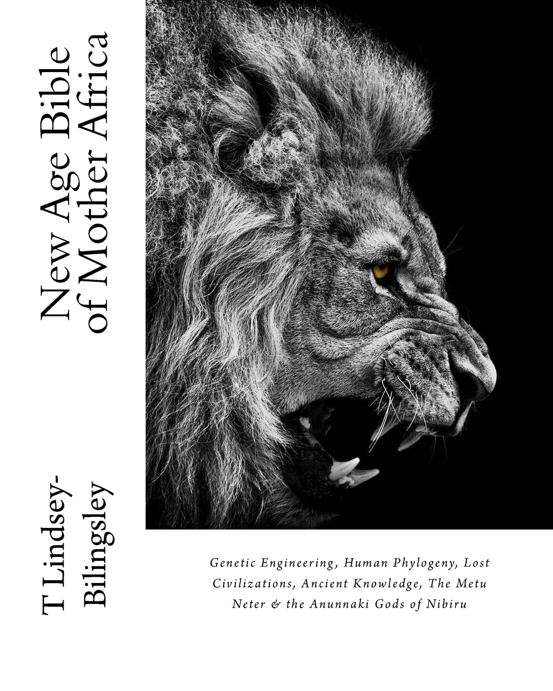 New Age Bible of Mother Africa: Genetic Engineering, Human Phylogeny, Lost Civilizations, Ancient Knowledge, The Metu Neter & th,Used