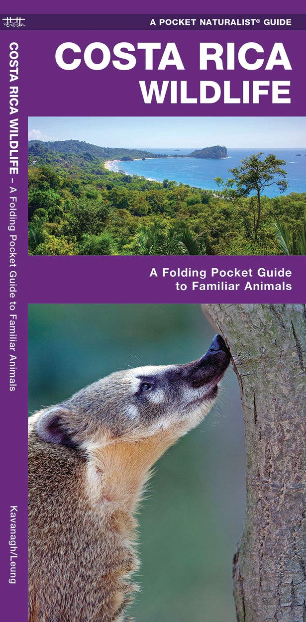 Costa Rica Wildlife: A Folding Pocket Guide to Familiar Species (A Pocket Naturalist Guide),Used