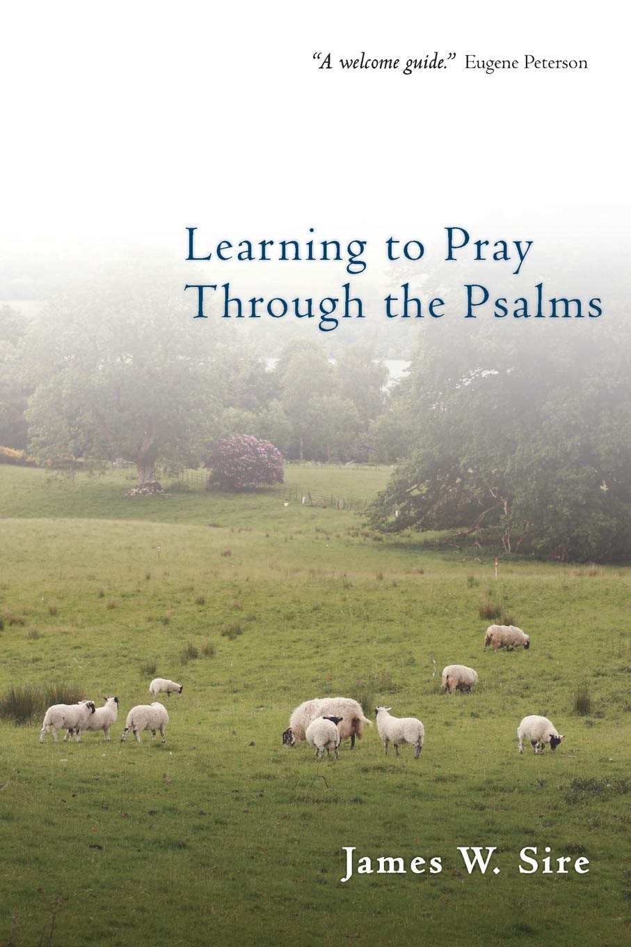 Learning to Pray Through the Psalms,Used