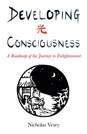 Developing Consciousness: A Roadmap of the Journey to Enlightenment,Used