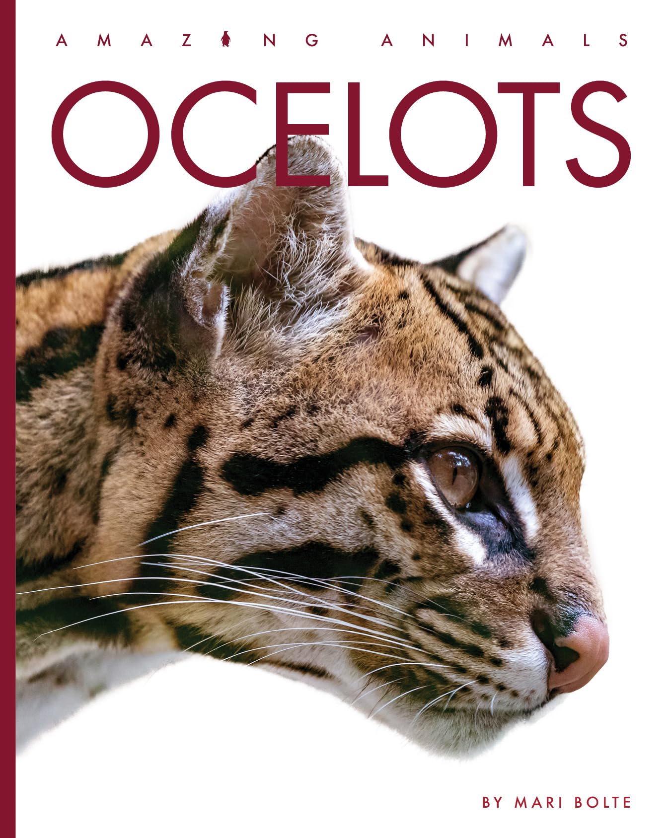 OCELOTS