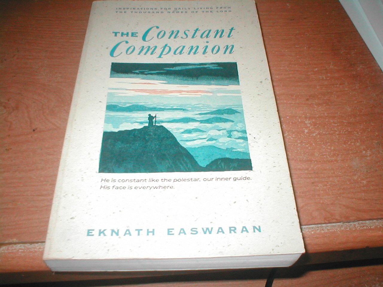 The Constant Companion,Used