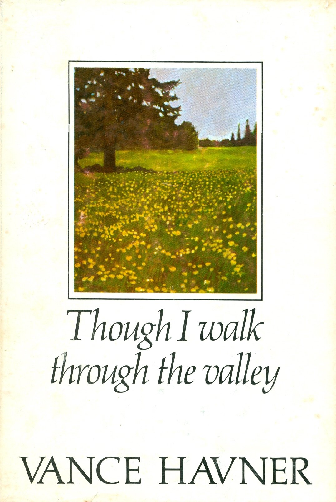 Though I Walk Through The Valley-used