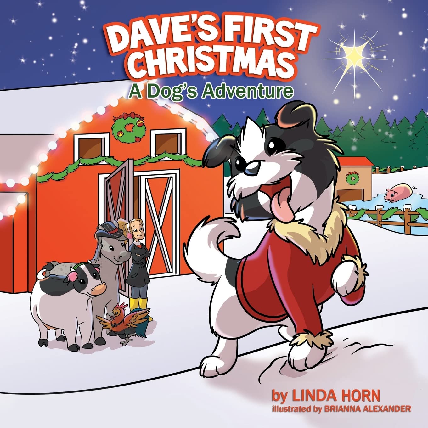 Dave'S First Christmas,Used