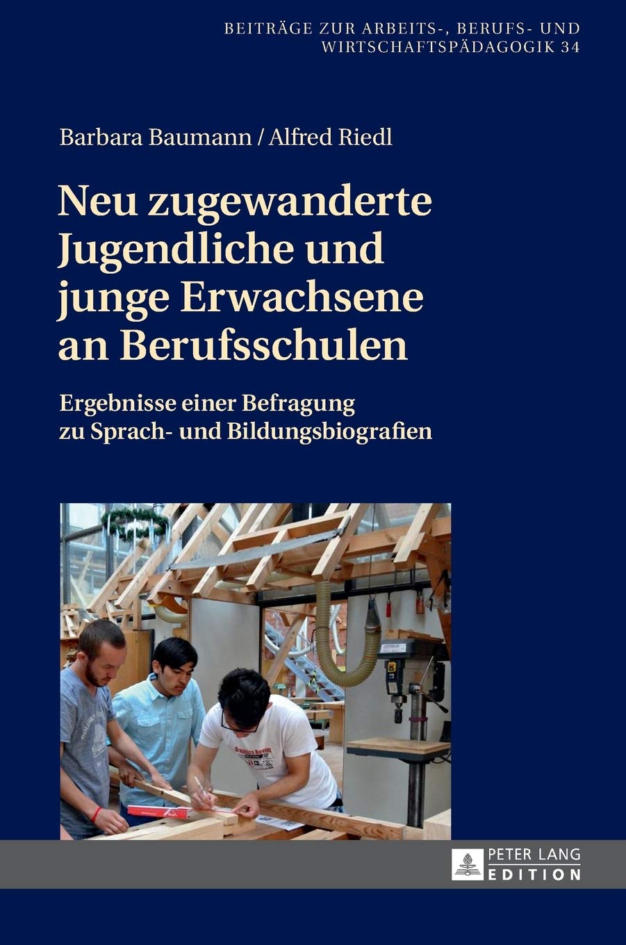 Neu zugewanderte Jugendliche und junge Erwachsene an Berufsschulen: Ergebnisse einer Befragung zu Sprach und Bildungsbiografien,Used