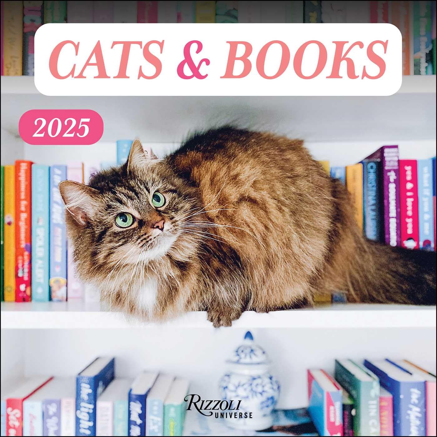 Cats & Books 2025 Wall Calendar,Used