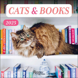 Cats & Books 2025 Wall Calendar,Used