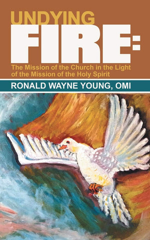 Undying Fire:: The Mission Of The Church In The Light Of The Mission Of The Holy Spirit,Used