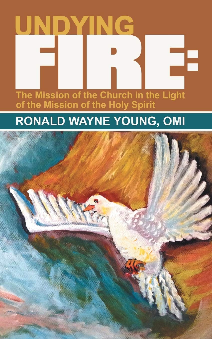 Undying Fire:: The Mission Of The Church In The Light Of The Mission Of The Holy Spirit,Used