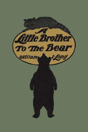 A Little Brother to the Bear (Yesterday's Classics),Used