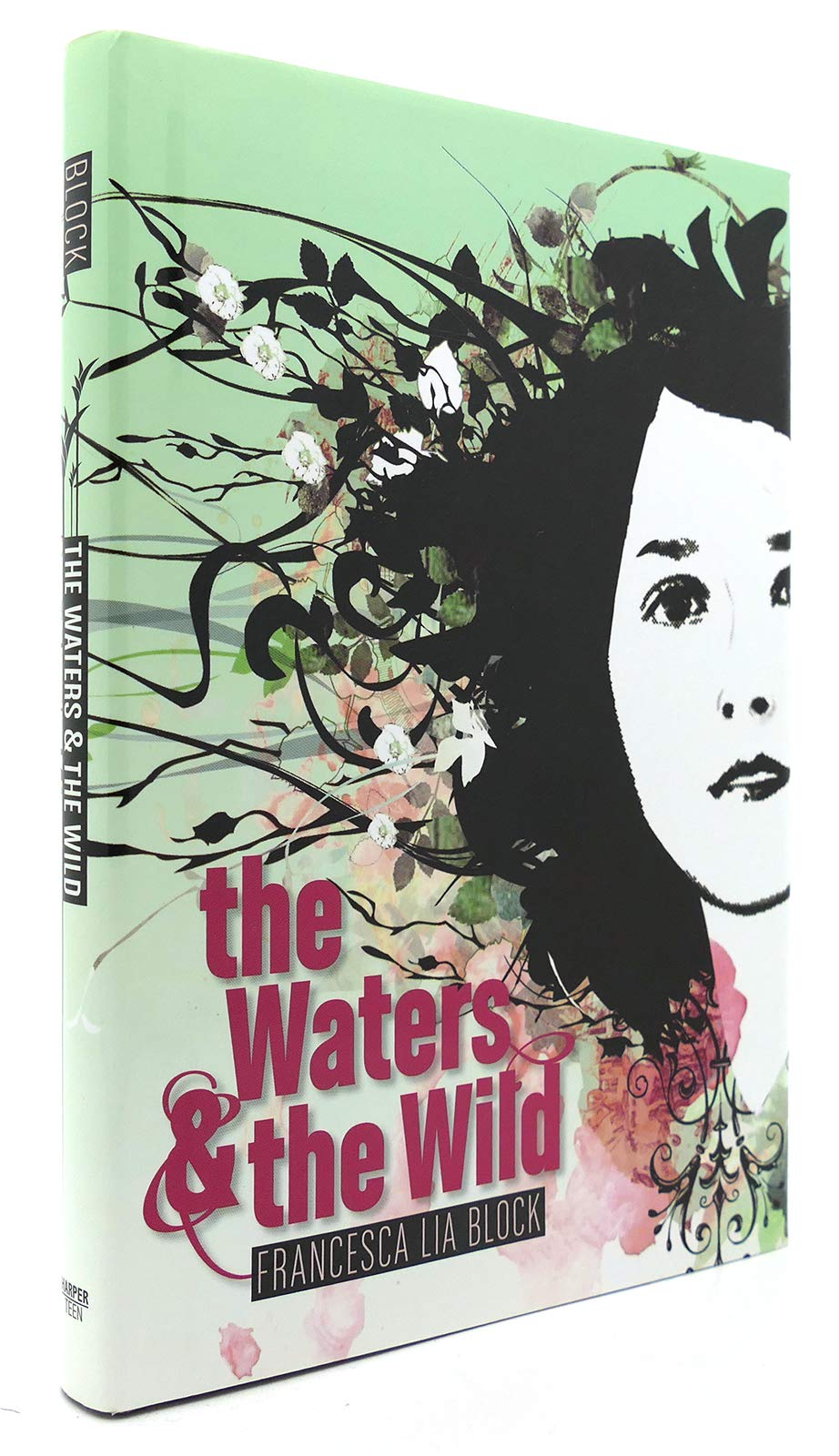The Waters & the Wild,Used